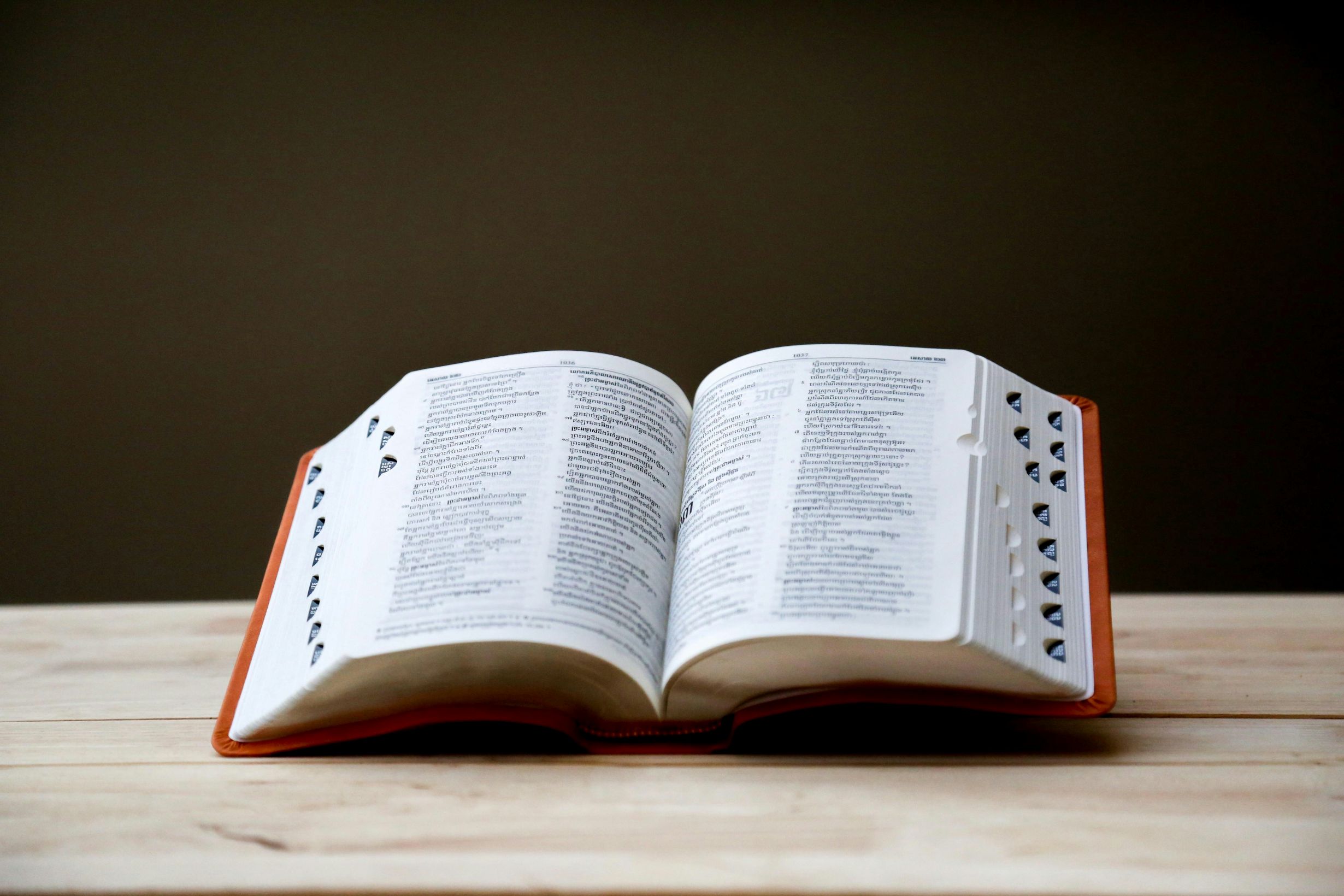 actualités dictionnaire
